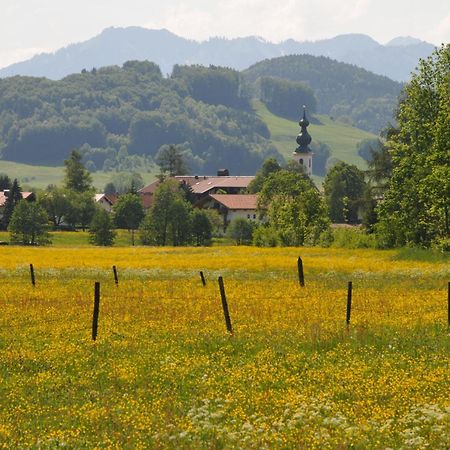 Ferienwohnungen Im Alpengaestehaus Marzoll - Бад Райхенхал Екстериор снимка