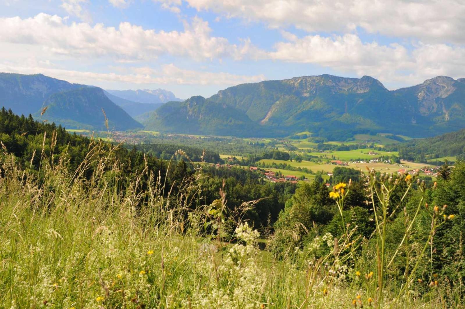 Ferienwohnungen Im Alpengaestehaus Marzoll - Бад Райхенхал Екстериор снимка