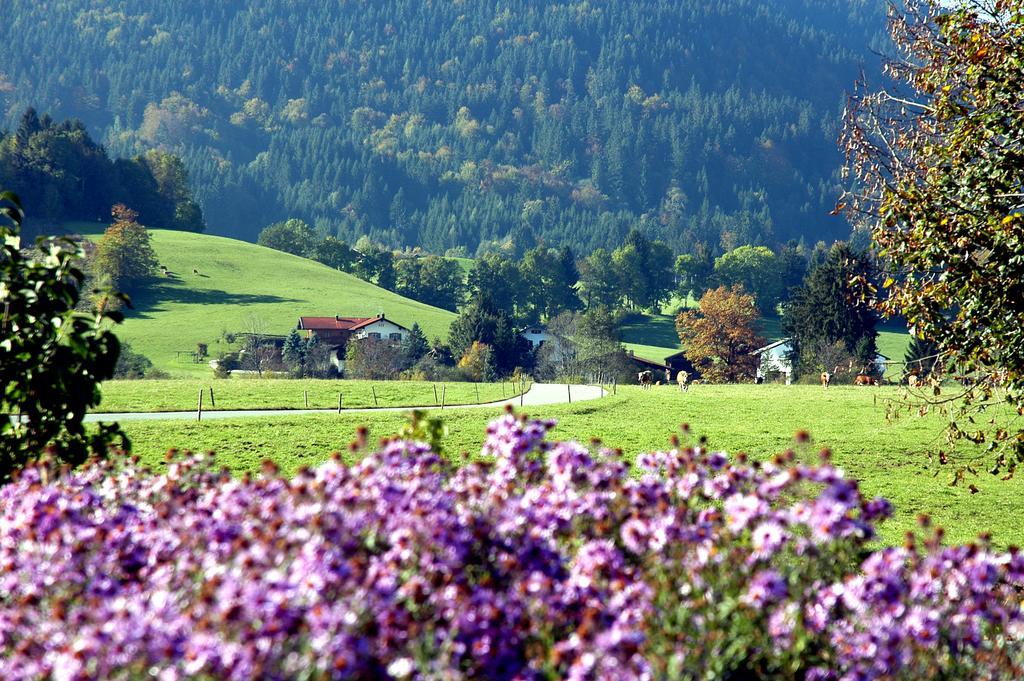 Ferienwohnungen Im Alpengaestehaus Marzoll - Бад Райхенхал Екстериор снимка